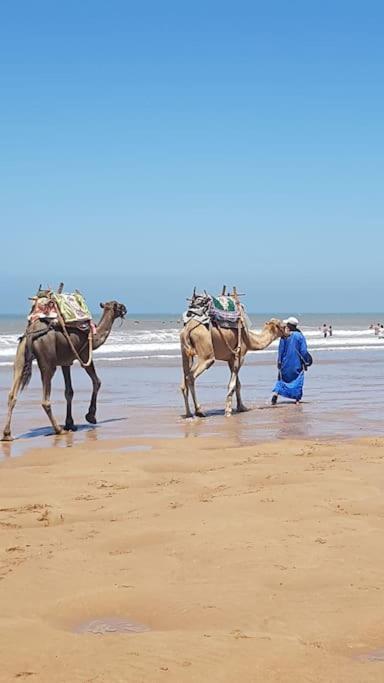 Charmant Riad Pour Familles Ou Groupes - Dar Mama Essaouira Ngoại thất bức ảnh